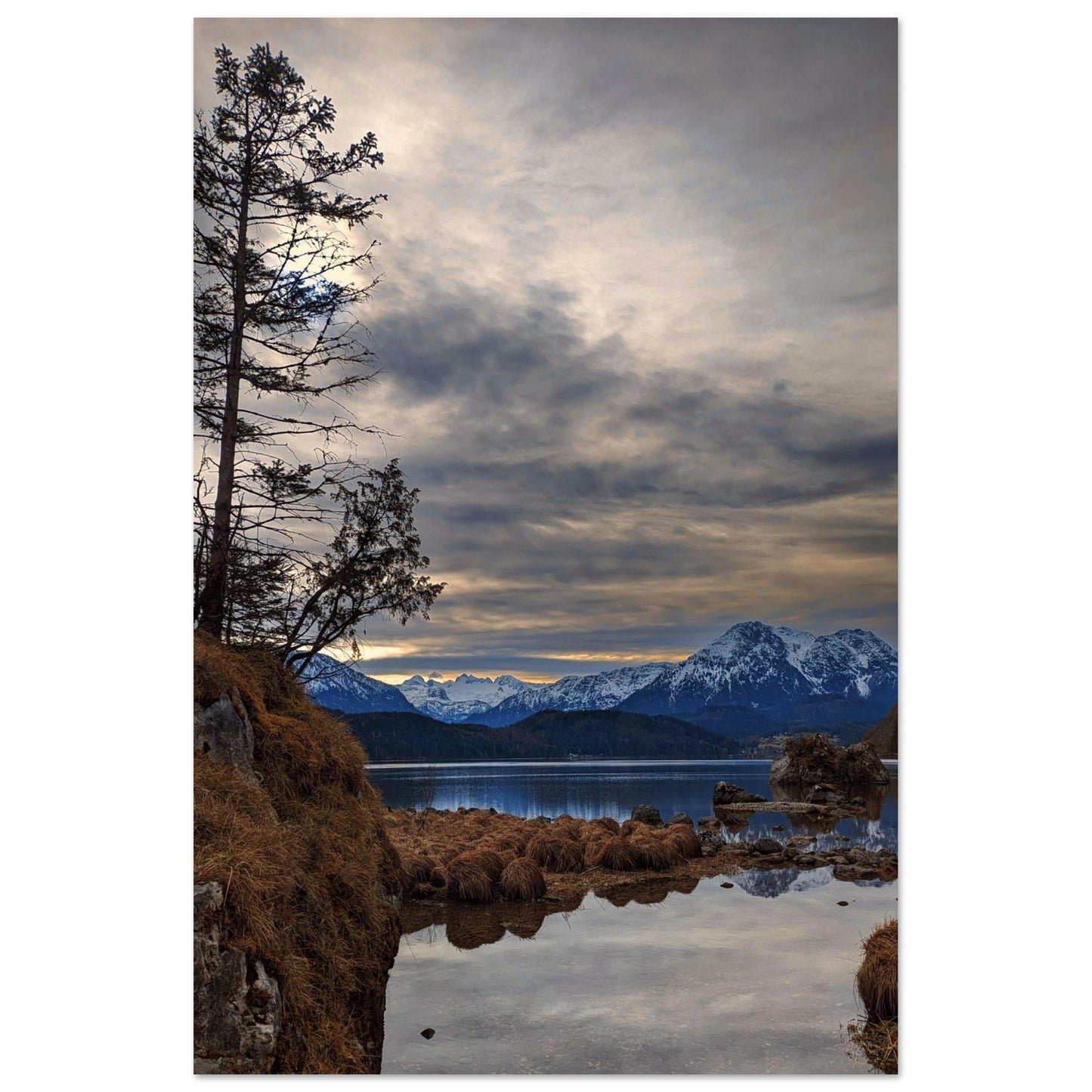 07a9daf6-1c01-49d5-a940-3fc3d0bddb61