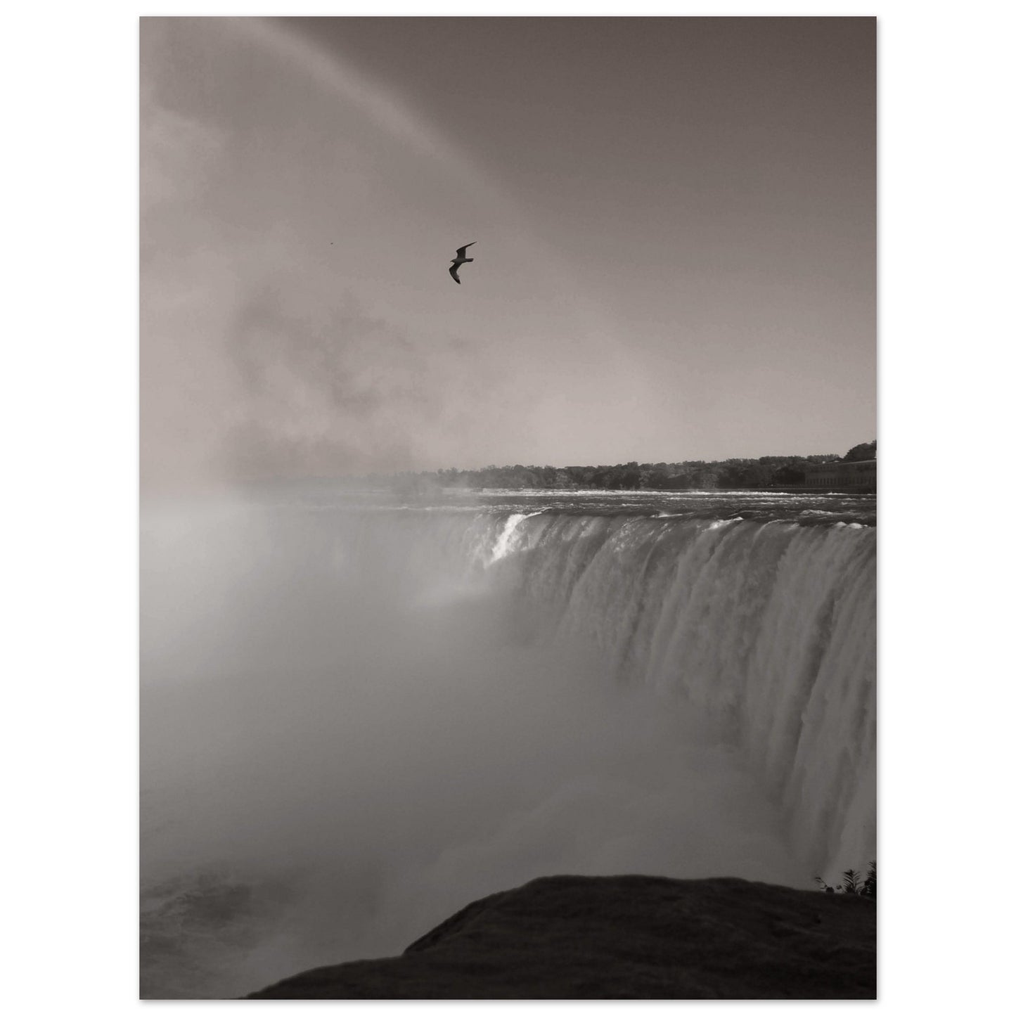 0ddbe695-0519-4831-97df-00fa6de1849f