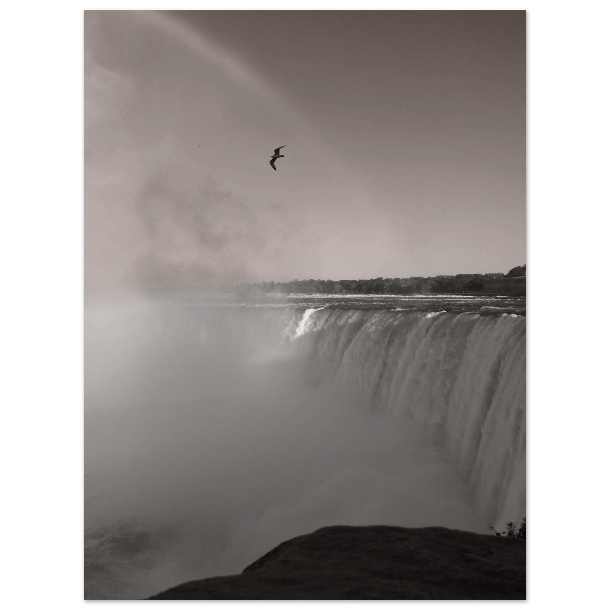 0ddbe695-0519-4831-97df-00fa6de1849f