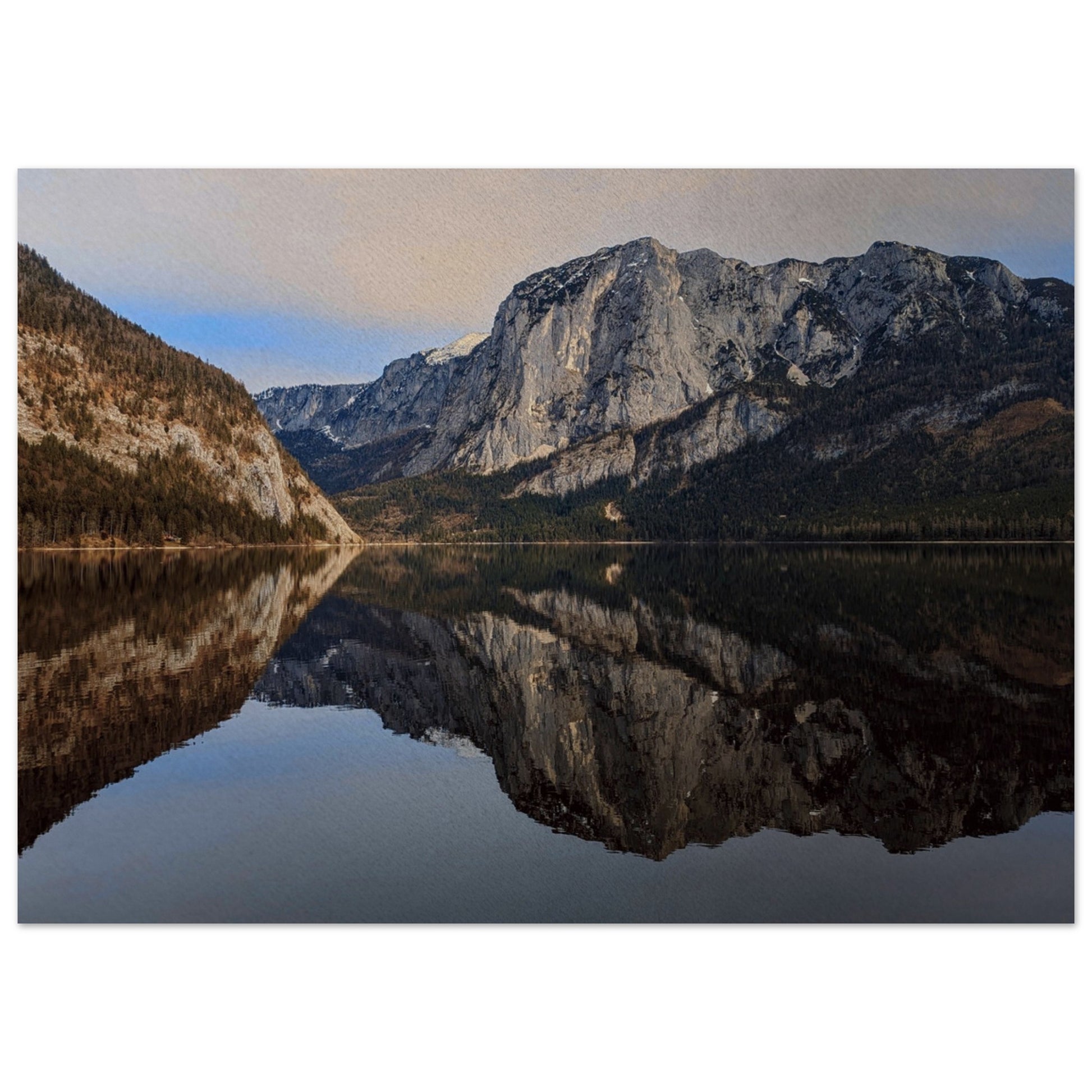 115dd49b-ff46-481e-9e4a-76237a179202