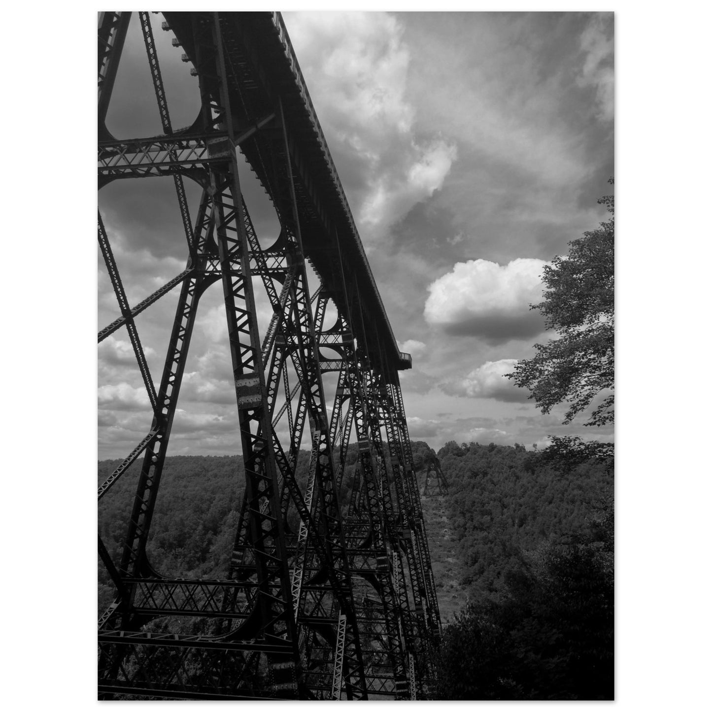 1cb8bf04-9431-4aeb-bf42-8d46c45bfb13