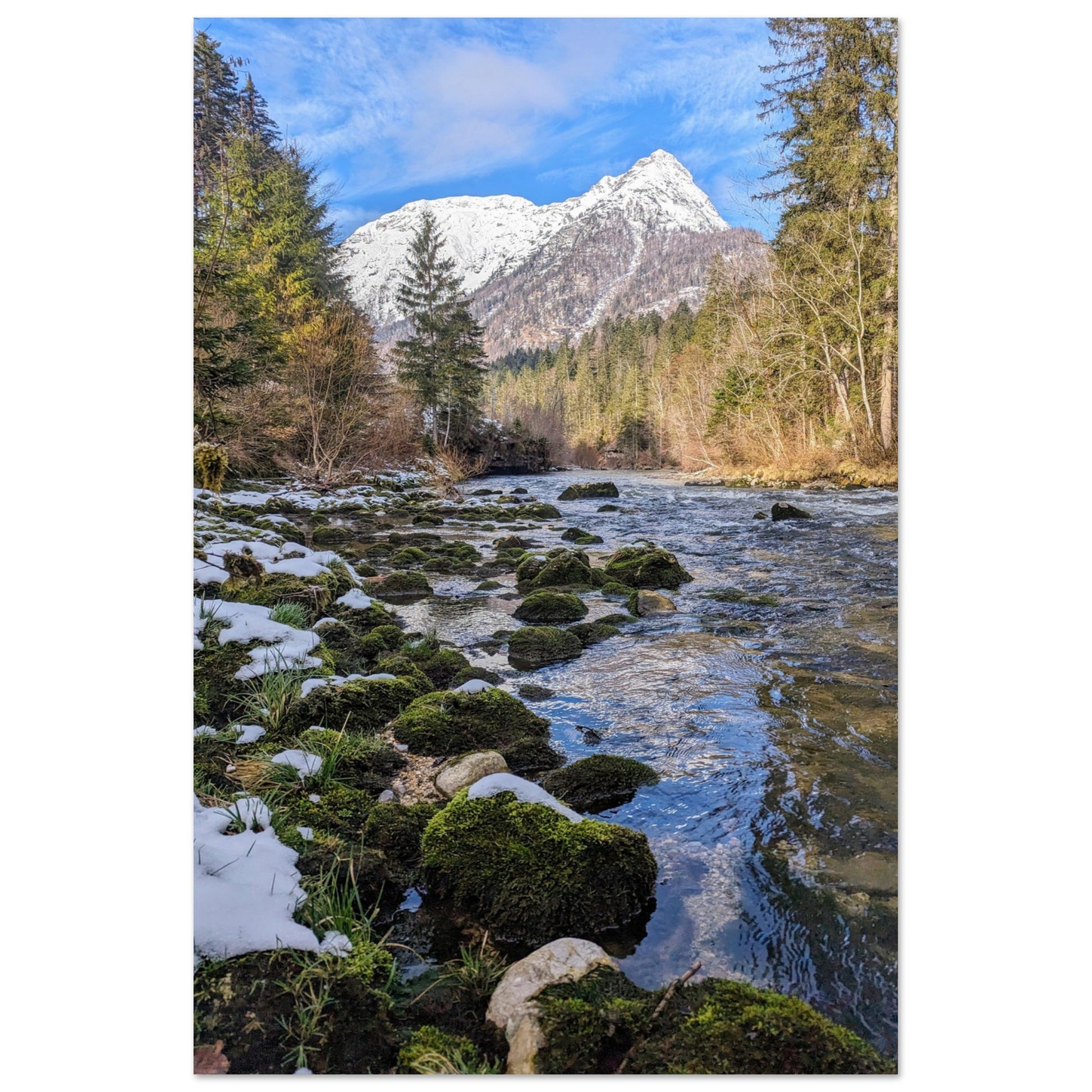 3ee1d6b3-8937-4087-8592-65b6a4278fa1