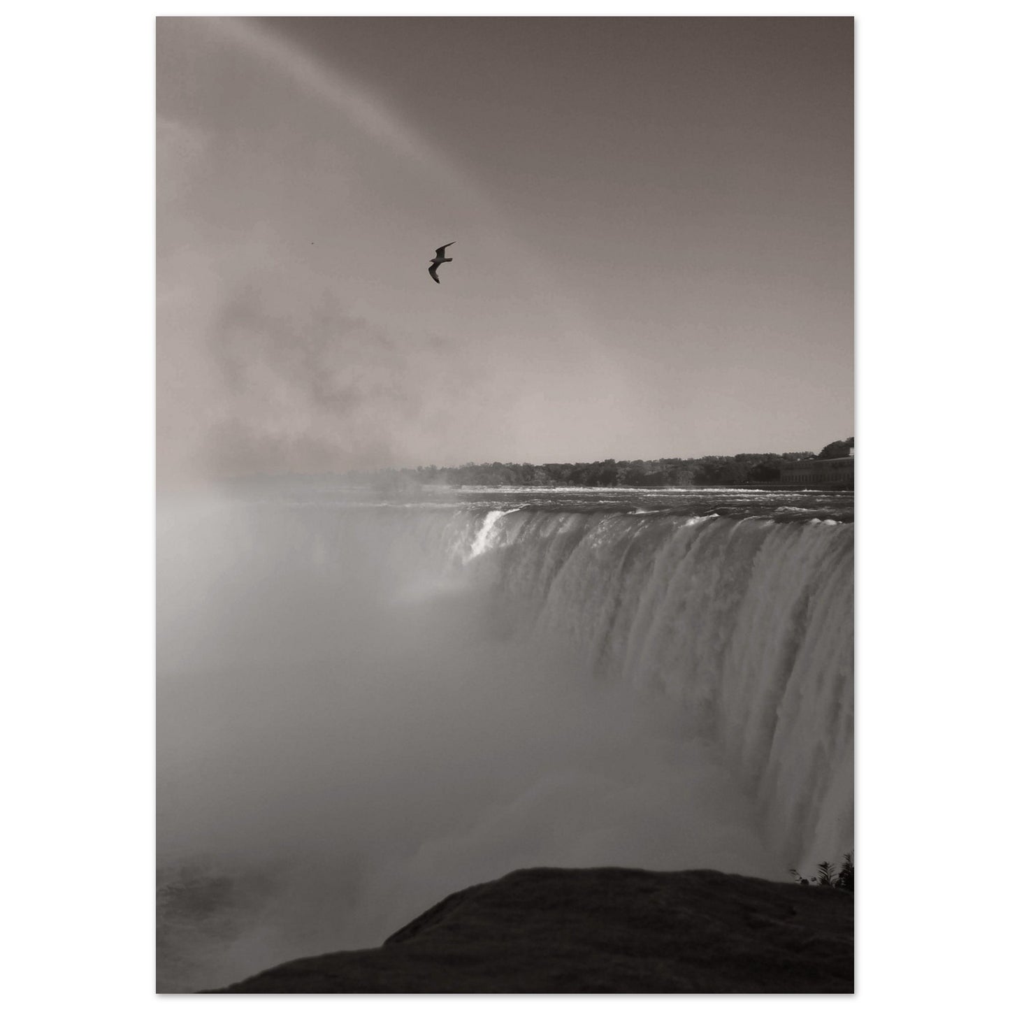 3f8361f8-e064-4cfc-812f-5c665ac4e5b0