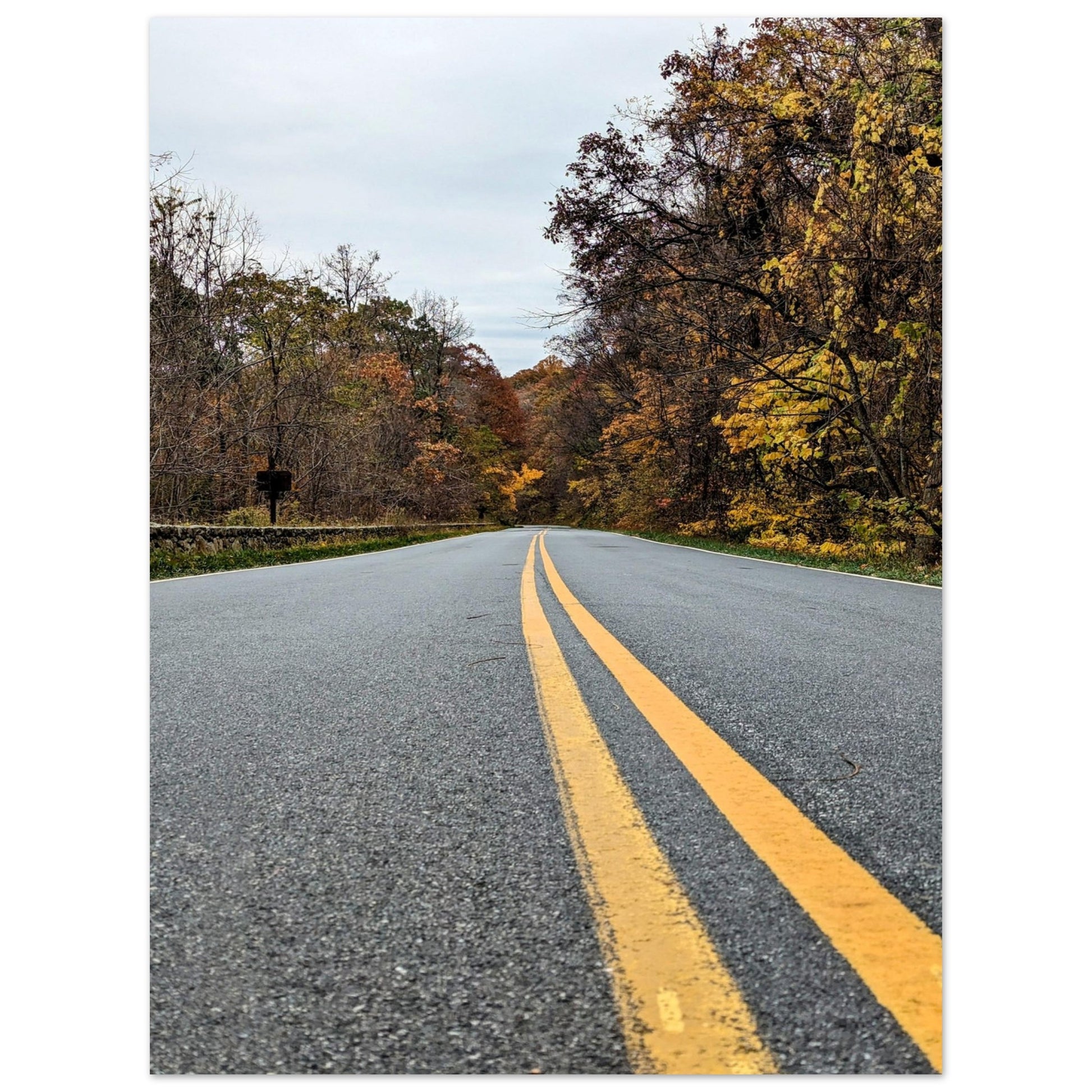 587c39a4-b3b7-47d9-a8ee-36890eec1a07