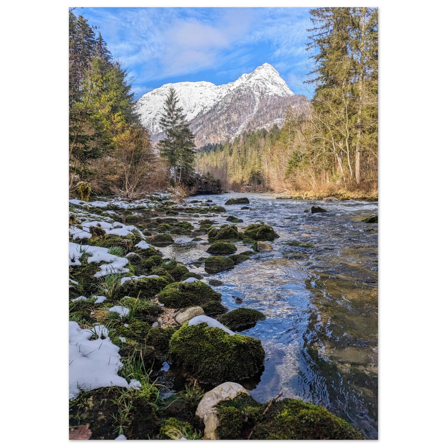 61b00fda-0d1f-4be8-be6f-a55d468cad90