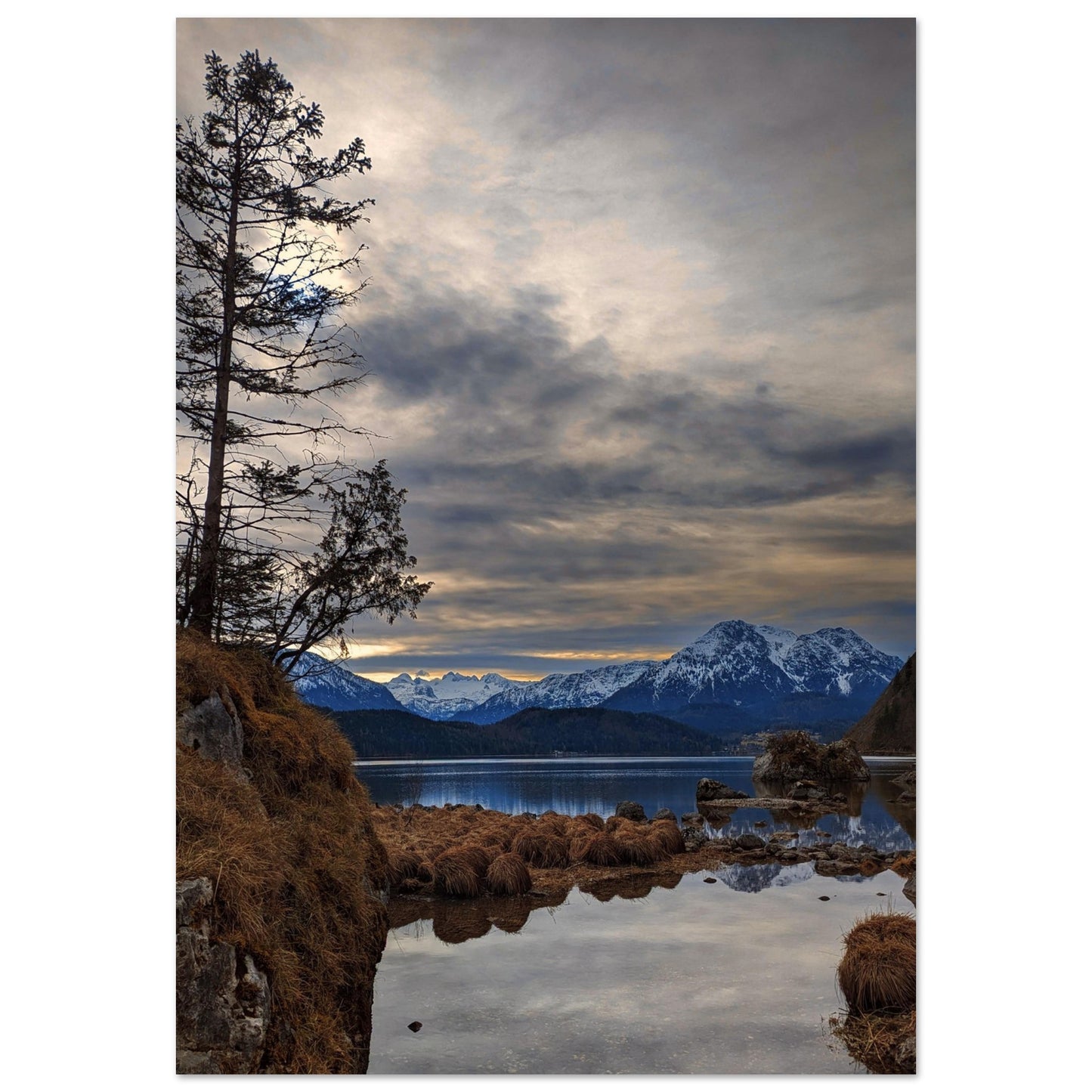 62a688b0-db66-46e0-817c-5e9d32d3c14e