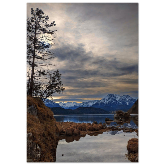 62a688b0-db66-46e0-817c-5e9d32d3c14e