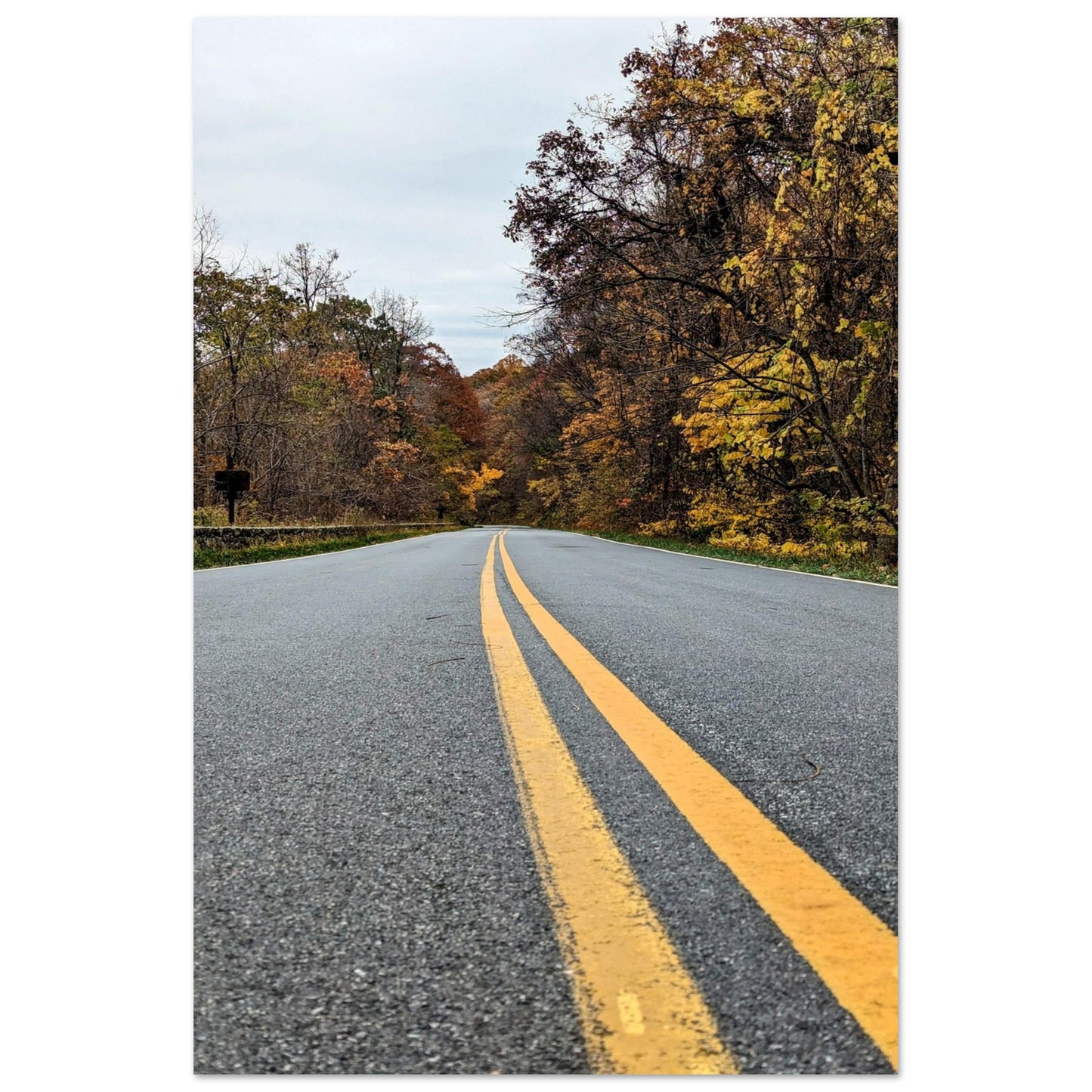 7c3c4e5a-fe08-45d2-9653-893d03d35b69