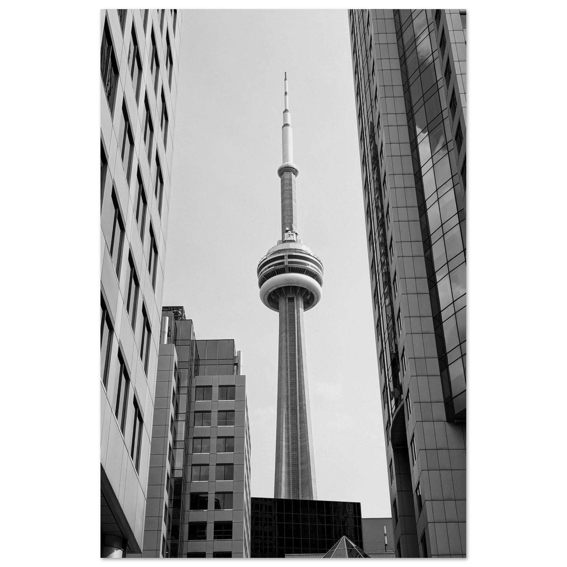 878c007e-f141-49a2-af20-6e9033ac7bfd