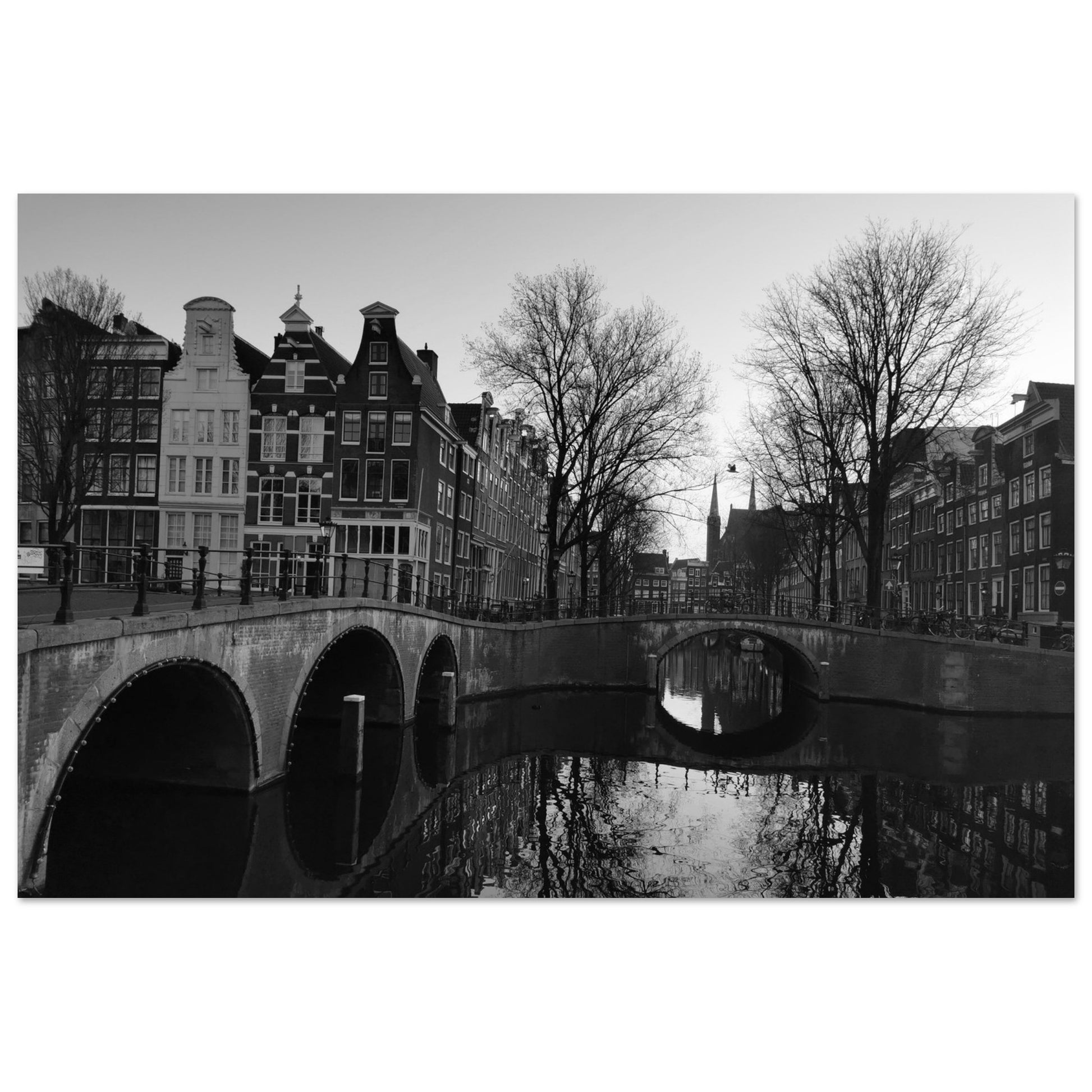 92231fb2-e098-421a-a526-6a78474c9846