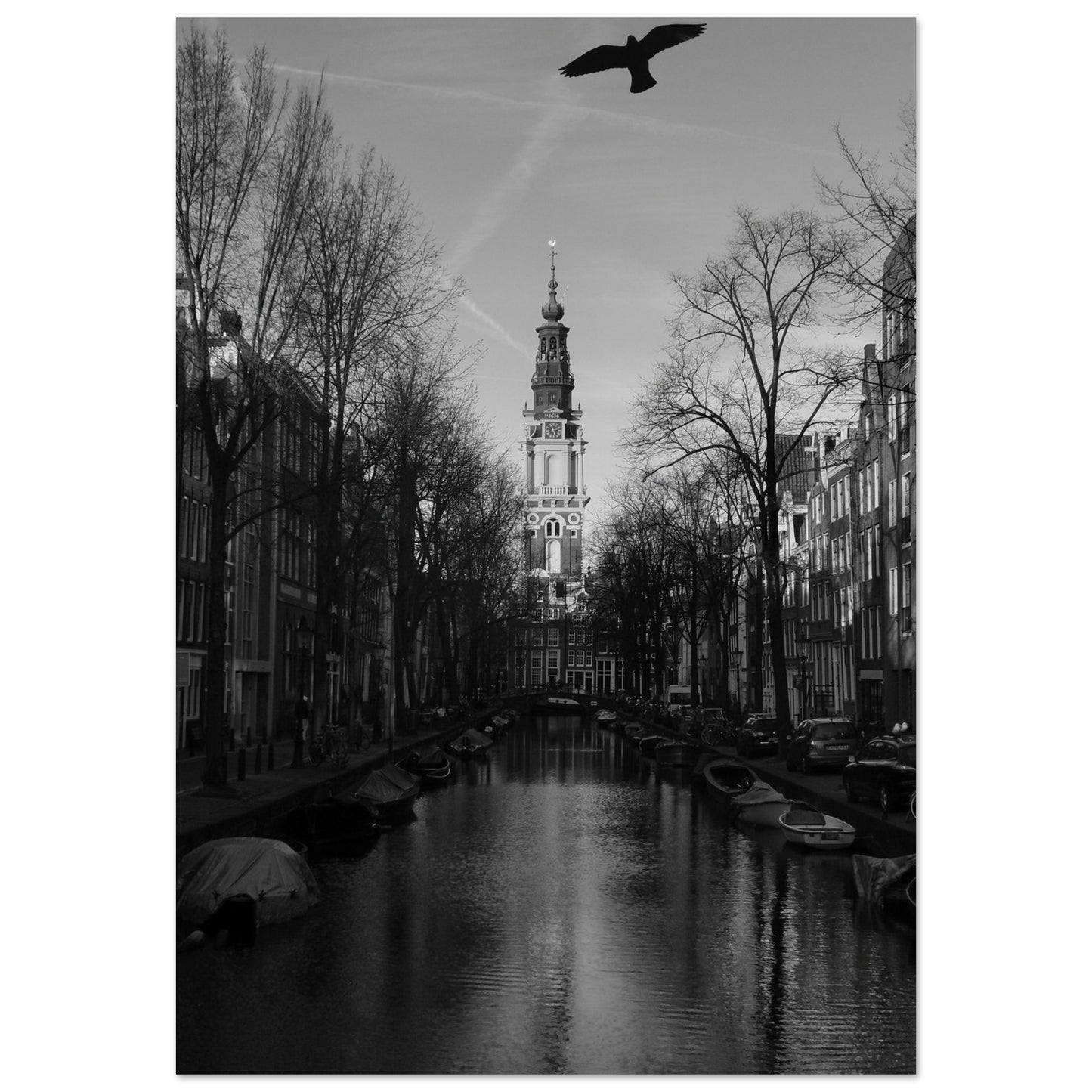 938d33d6-41bc-485d-a93c-aad81eabcaa1