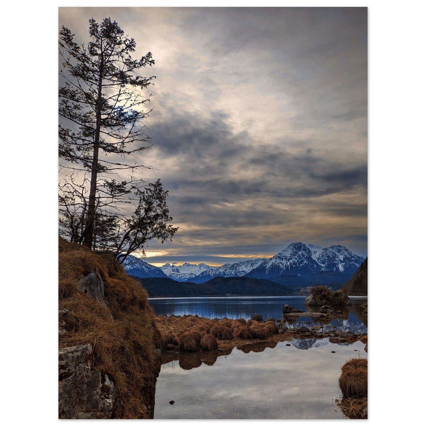 ba7e8546-edc3-44ad-bb4a-f9083cbff47d