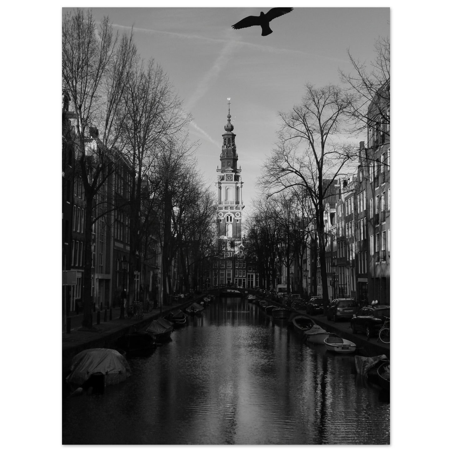 c46002f5-49c5-4dfe-a5c6-4c132d2df2cc