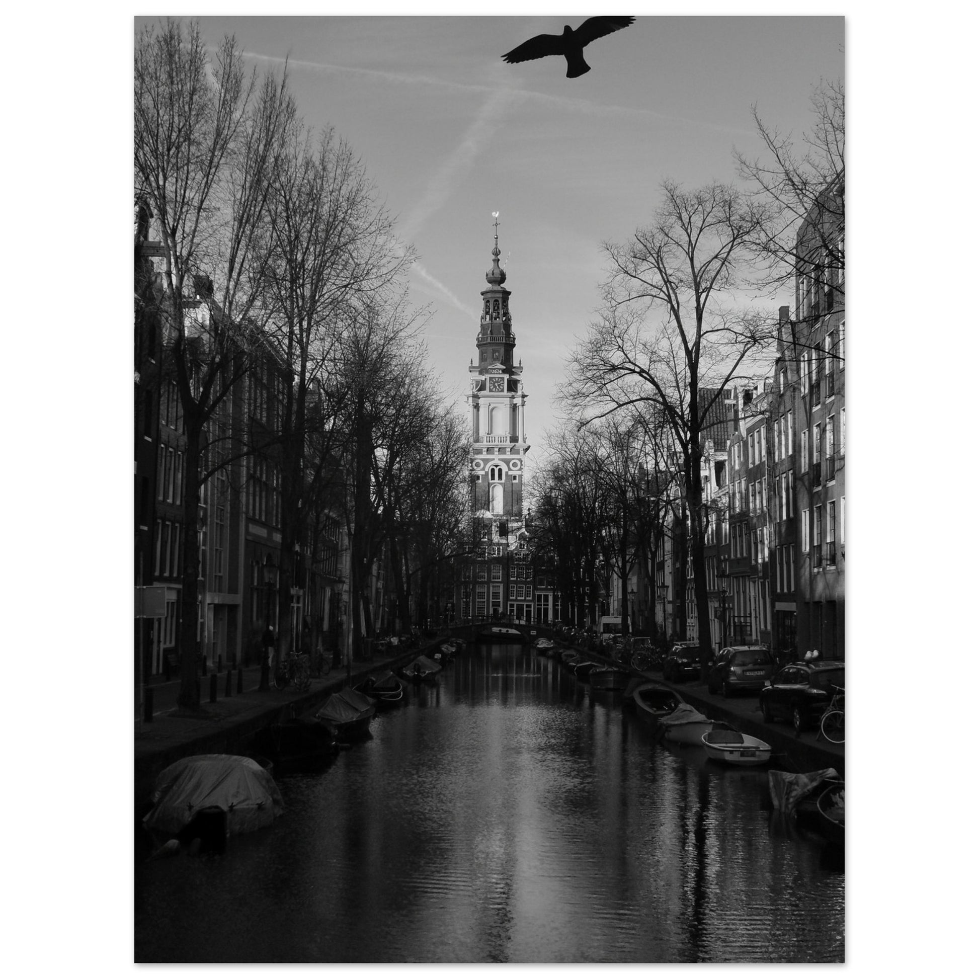 c46002f5-49c5-4dfe-a5c6-4c132d2df2cc