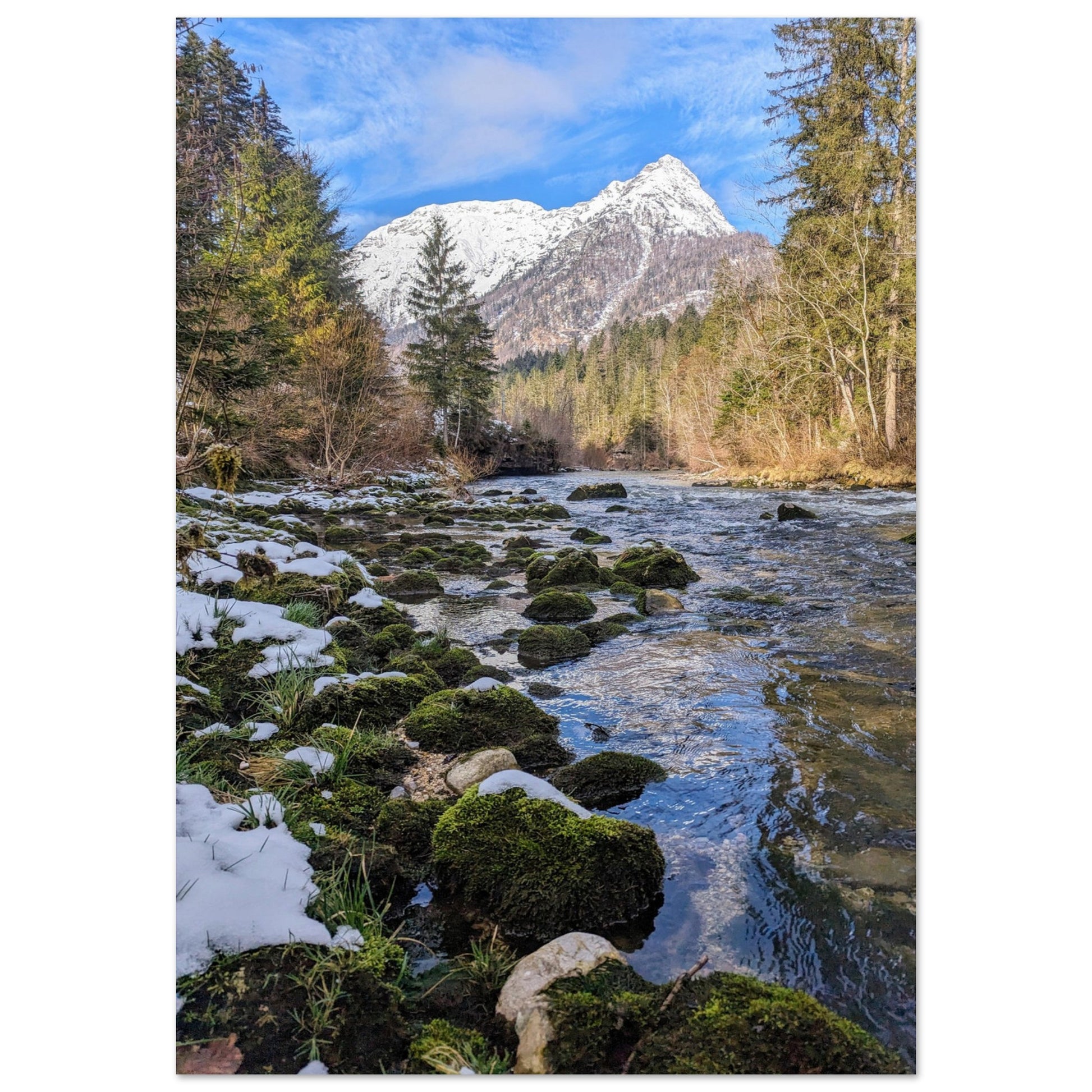 cc481a86-1179-4a74-b504-0aaa08eafab9