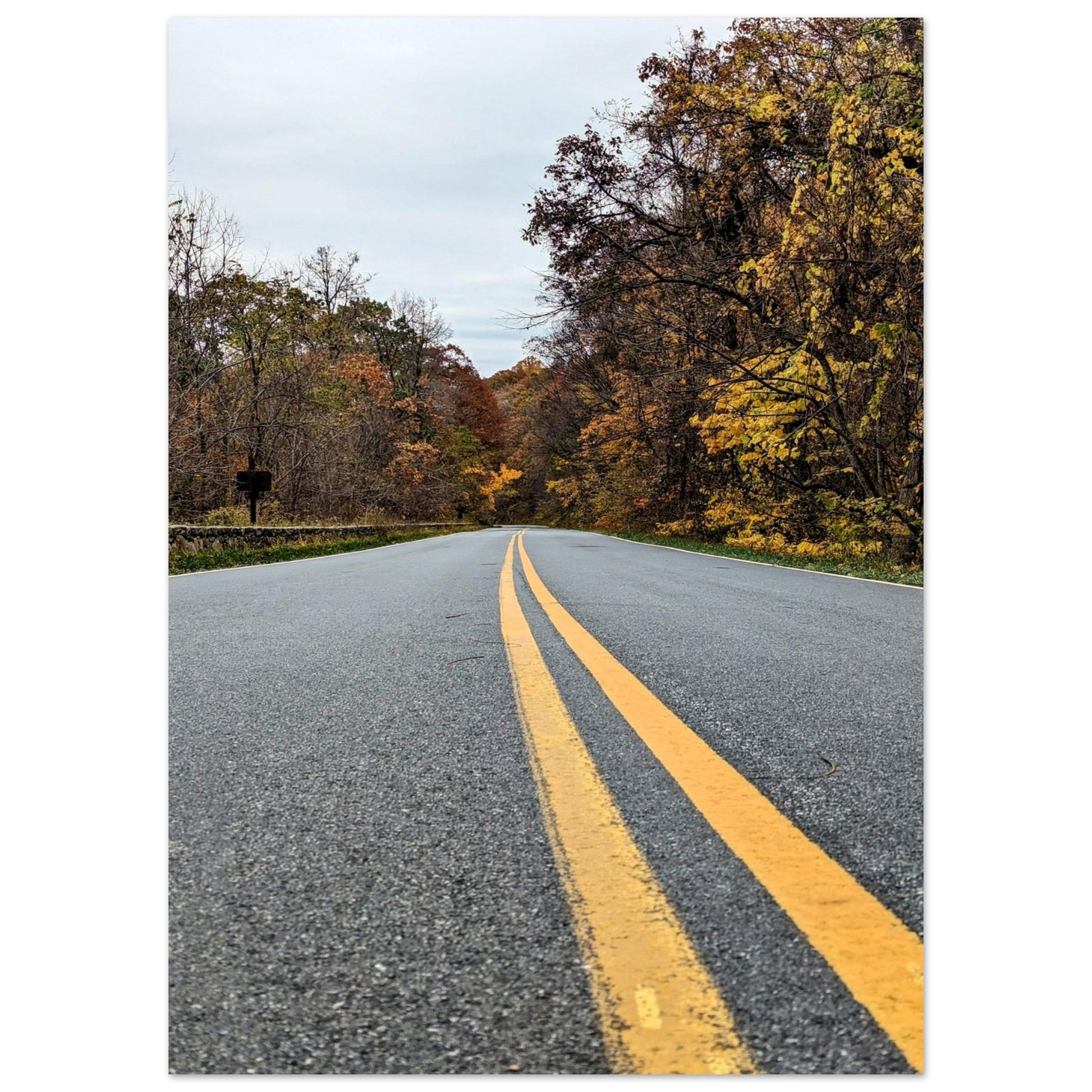 d08b0179-30a5-46b1-aa0d-155fbd9116be