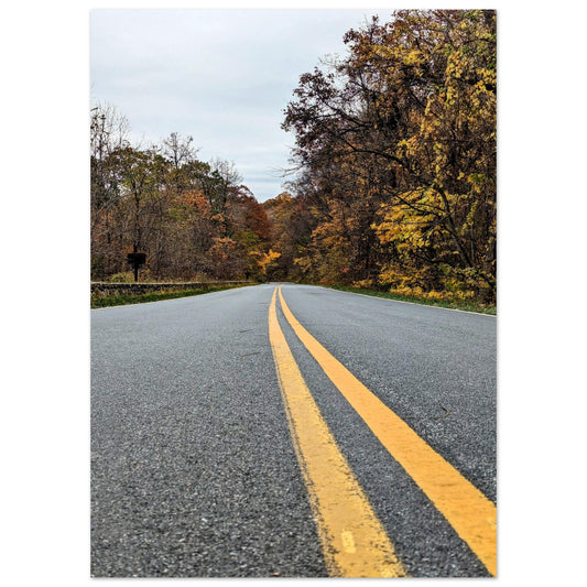 d08b0179-30a5-46b1-aa0d-155fbd9116be