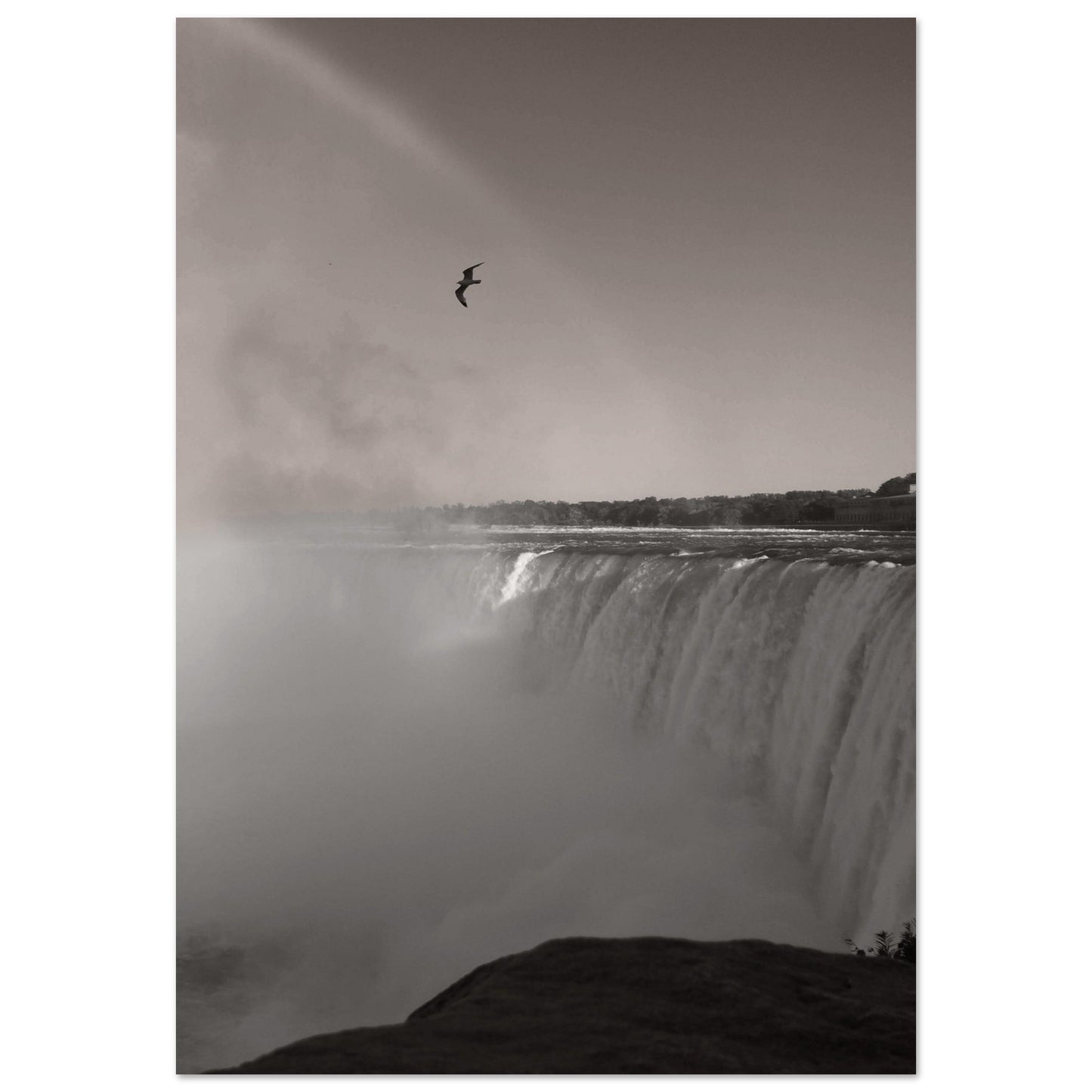 e2d900da-227d-4907-a33c-fdb2b62ea794