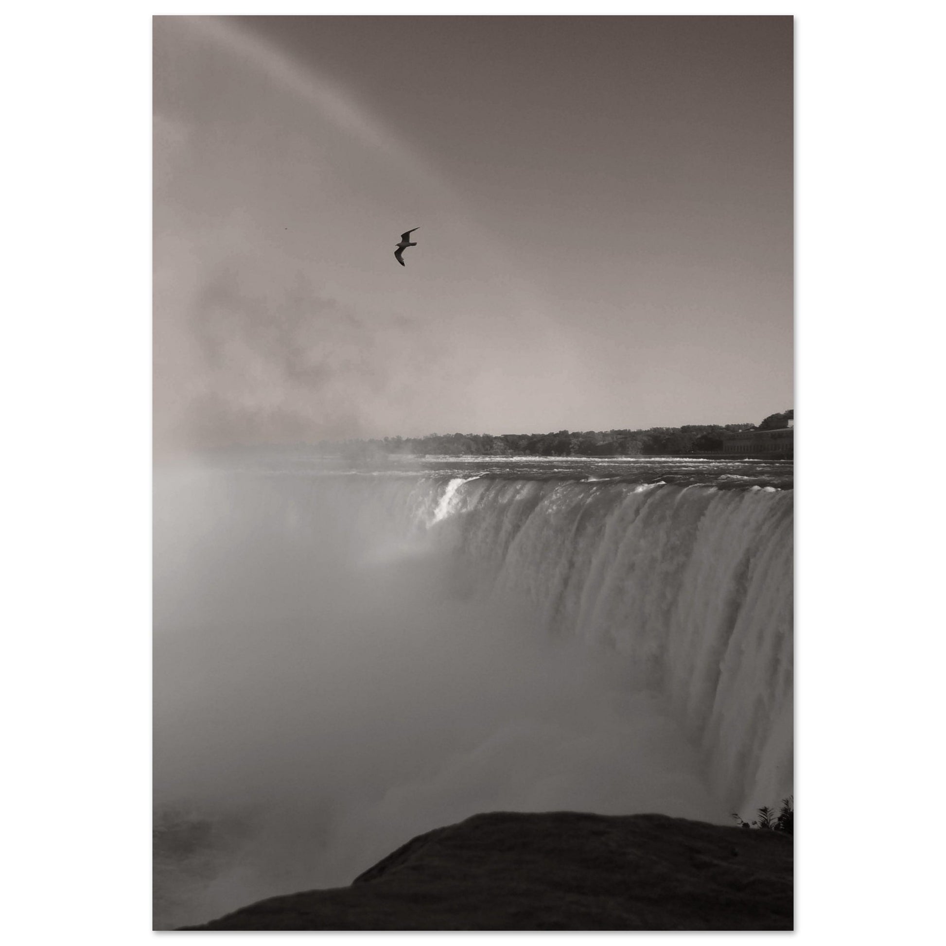 e2d900da-227d-4907-a33c-fdb2b62ea794