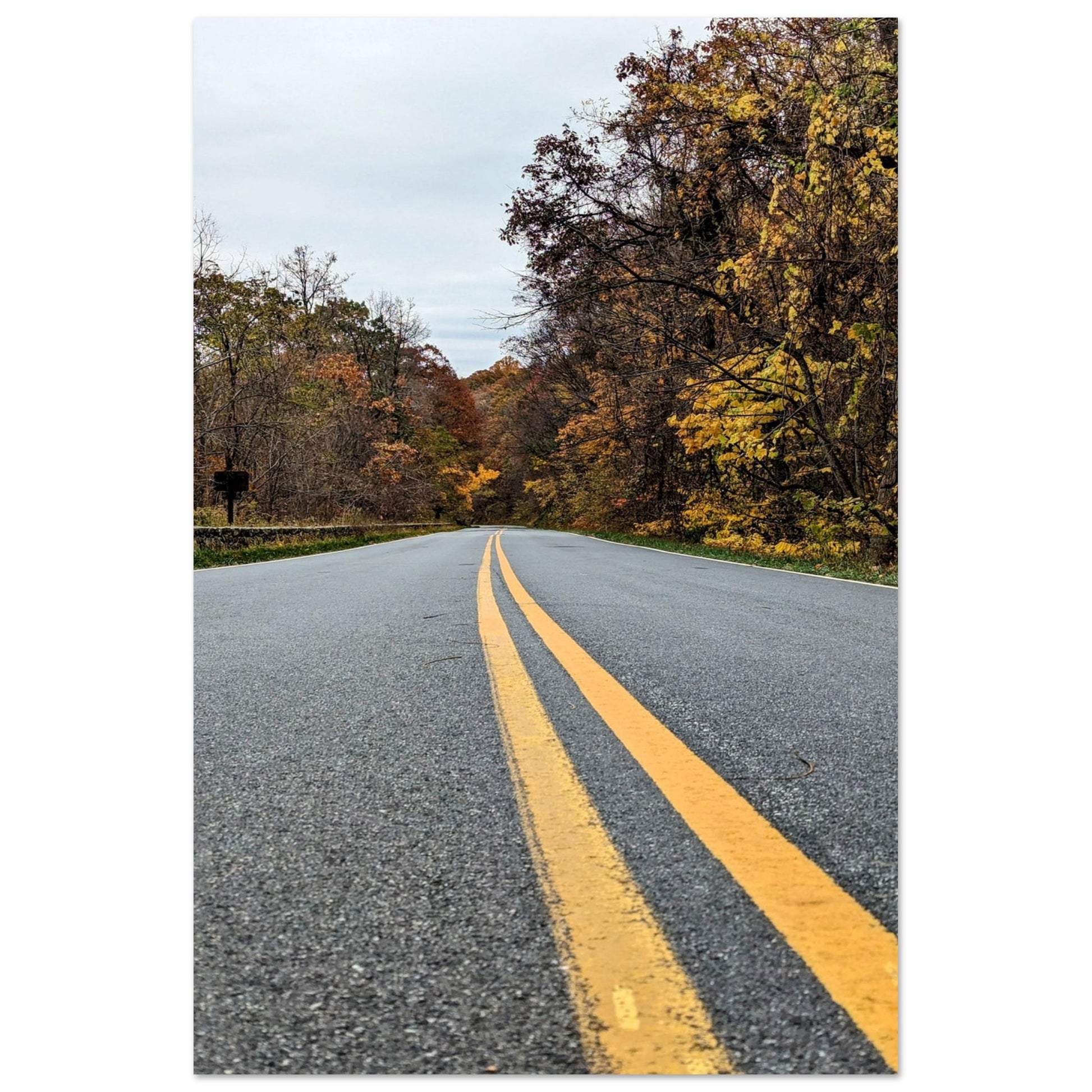 ec4fab52-a09e-46f9-89ae-c07fbde2a5ed