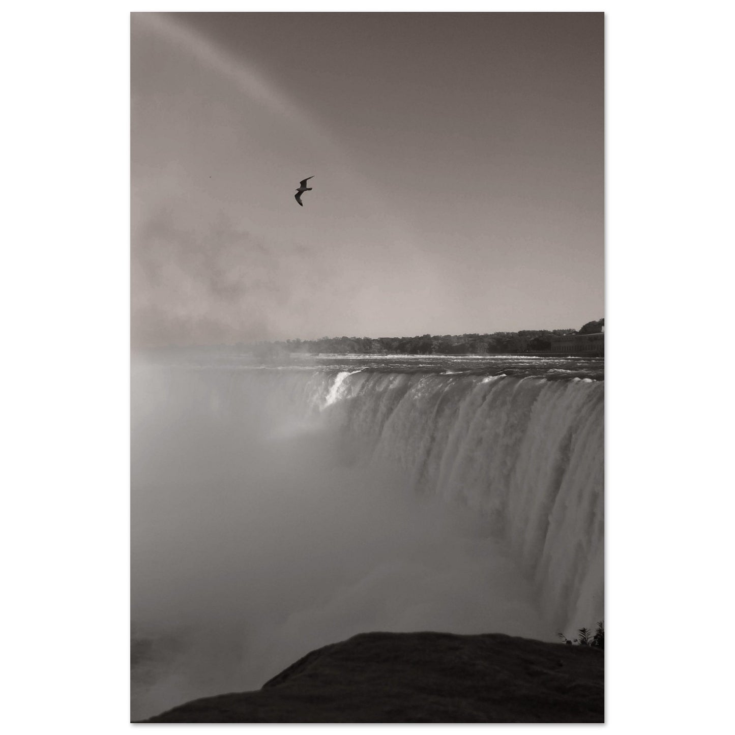 ef55694a-d1d9-4904-9cd1-d60d18711502