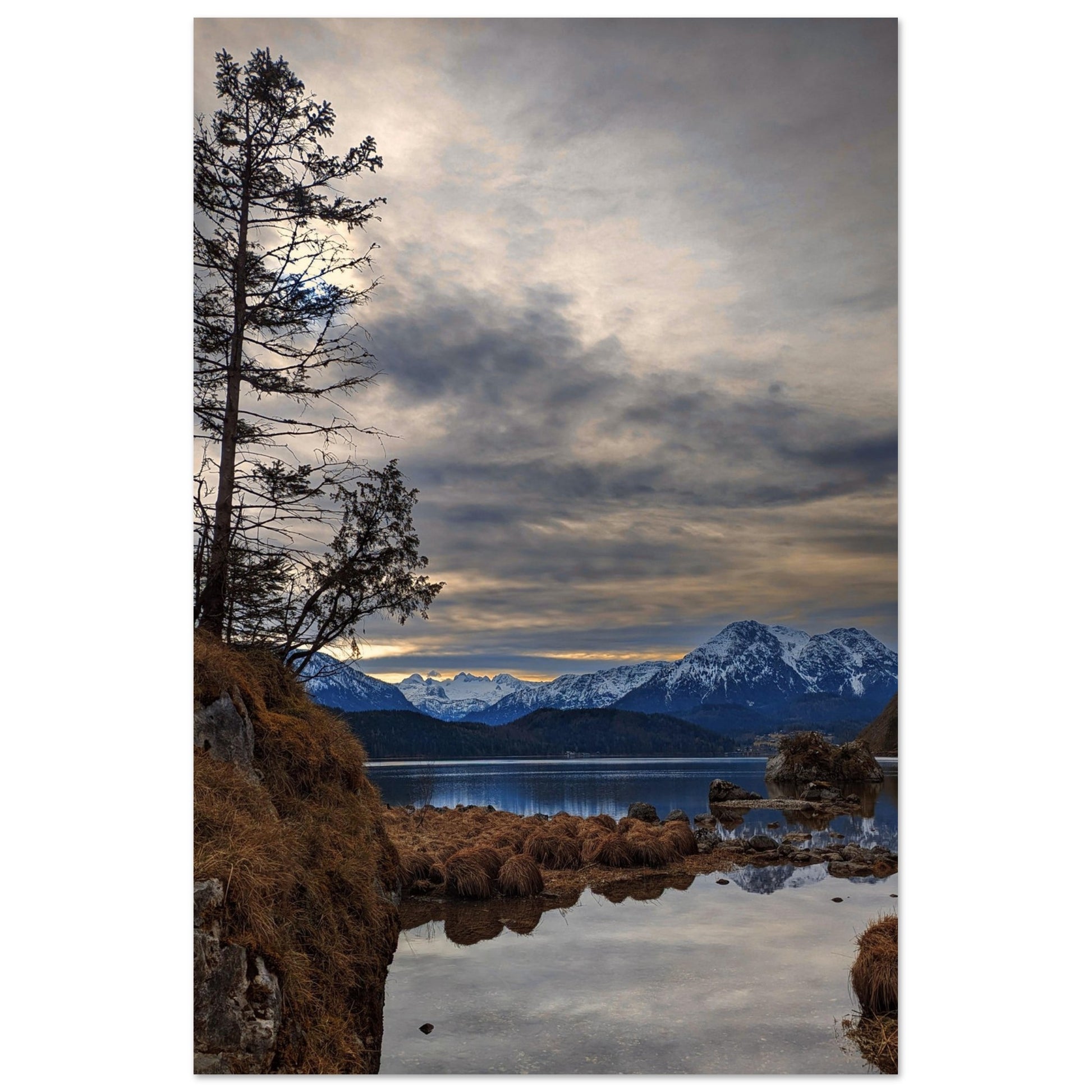 f46cd8f8-bcfb-4bbb-90a7-ca3c01c97f84